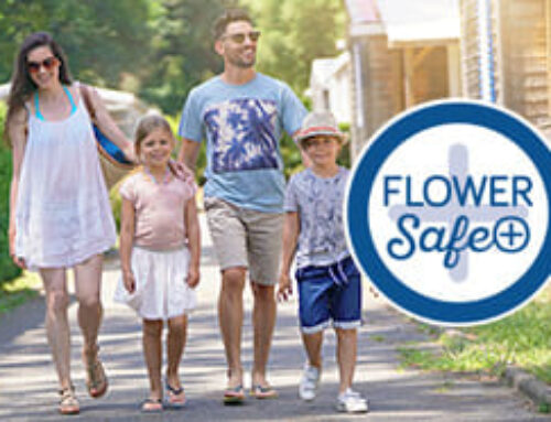 THE FLOWER SAFE PLUS CHARTER